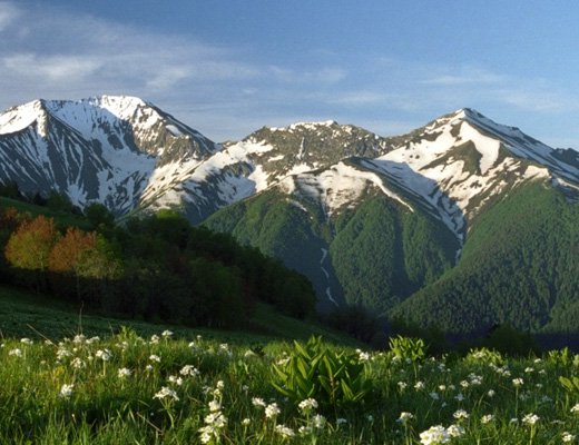 Доклад: Кавказский заповедник